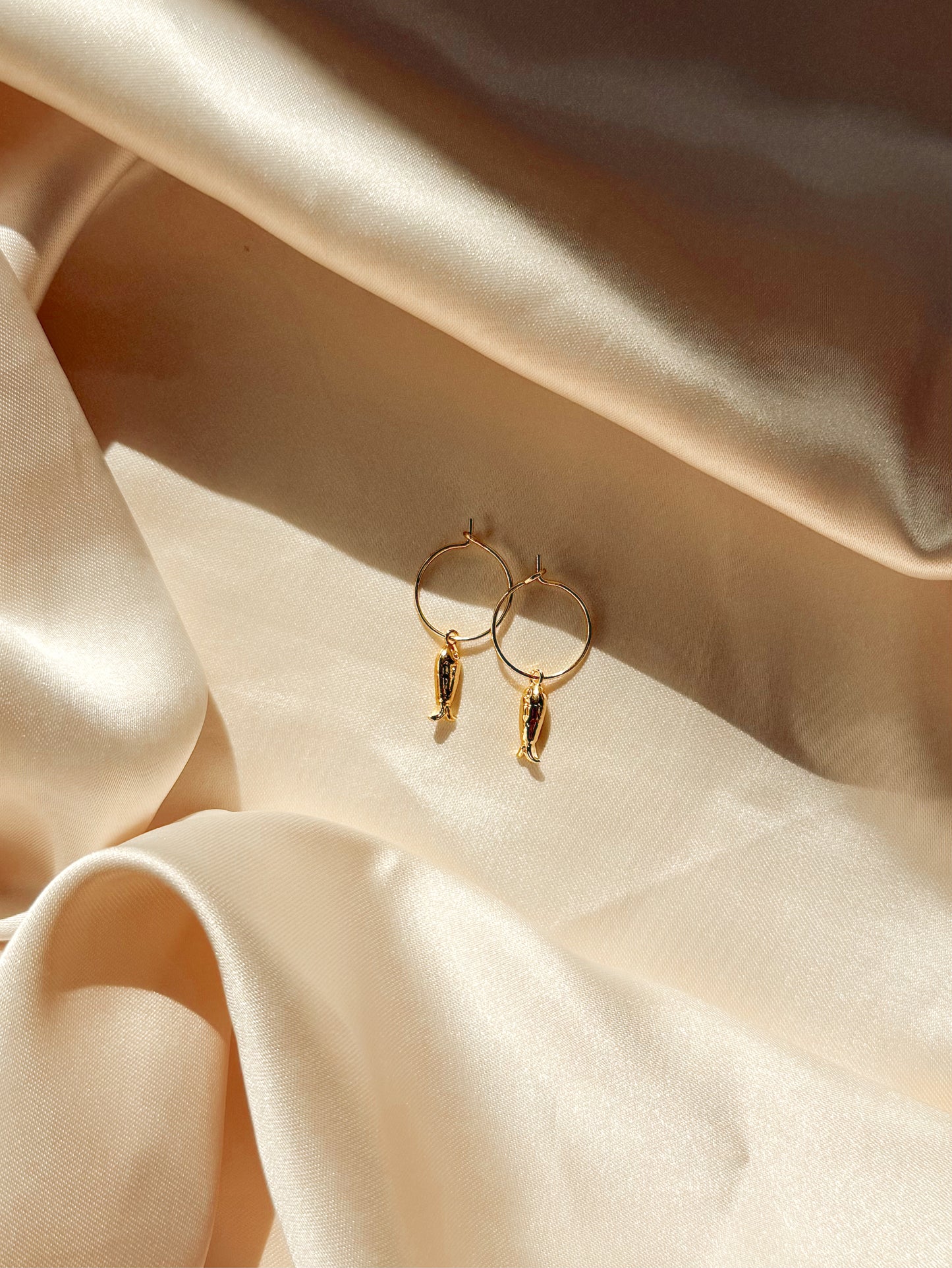 Hooked on You Hoops
